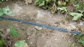 Sustainable tech improves harvest, ecosystem in Central Asia