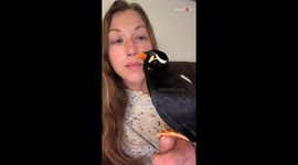 Witty starling makes owner's lunchtime entertaining with its casual swearing