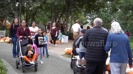 Pumpkin Village showcased in U.S. Dallas