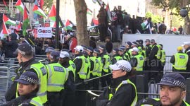 Over 1,000 police officers deployed to Palestine support rally in London by Met Police