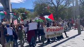 New Zealand: Hundreds Join Pro-Palestine Rally In Christchurch