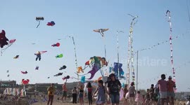 Malta holds 6th int'l kite festival