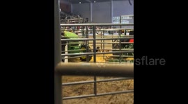 Texas State Fair evacuated as shooter injures 3