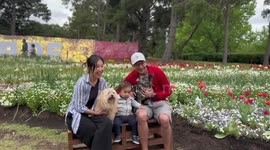 Annual Floriade spring celebration concludes in Australian capital