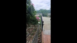 Bandit monkey waits for mountain tram to steal food from passengers