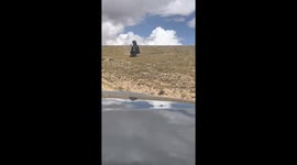 Wild yak chases away car as terrified driver reverses in Tibet