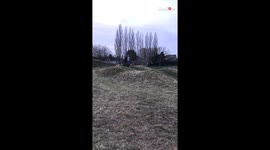 Playful pup makes owner fall for her... LITERALLY!