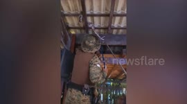 Screaming diners flee boa constrictor recovered from restaurant ceiling in Brazil