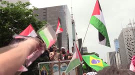 People Hold Demonstration in Support of Palestine in Sao Paulo, Brazil