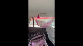 Pampered pet kitten has her own car hammock for journeys