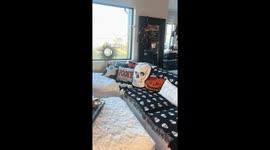 Mum goes viral putting Christmas tree up 11 weeks before holiday – but gives it a scary twist Part 1/2