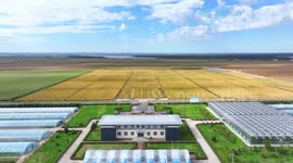 China's grain producing areas work to safeguard bumper harvest