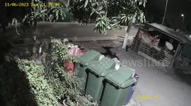 Speeding pickup truck demolishes roadside wooden stall in crash