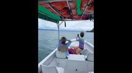 Enthusiastic Tourists React to Whale Sightings