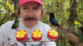 Hummingbird Hat Feeder