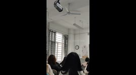Cat pokes through window of university class in China