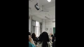 Cat pokes through window of university class in China