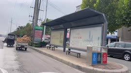 Large Group of Golden Retrievers Sharing a Ride on the Back of a Tricycle in Zhoukou, China