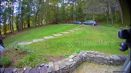 New Puppy Knocks Dad Off His Feet