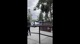 Raven Wants Your Leftovers