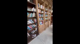 Florida bookstore has cat cashier that swipes notes from customers