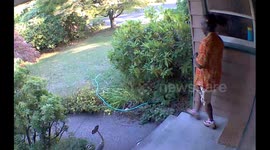 Daughter Trips and Falls Down Stairs