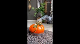 Clay artist pumpkins-up her creativity with a smokin' DIY cone burner