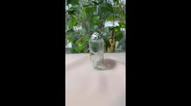 Ghoulishly DIY Halloween artwork proves that ghosts exist to be adored, not feared