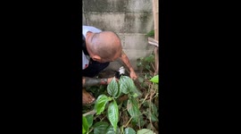 Dog with head poking through concrete wall rescued by locals