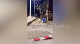 Strange sound from inside bin turns out to be hungry stray dog