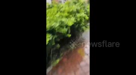 Chinese veteran dives into river to rescue struggling elderly woman