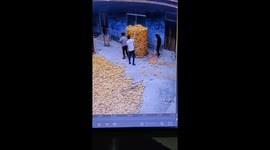 Two Men’s Corn Harvest Takes Unexpected Turn in China