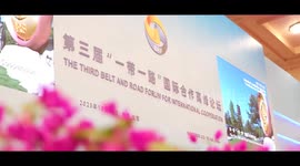 Xi calls for ushering Belt and Road cooperation into new stage of high-quality development