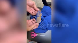 Customs officials seize gold in powder form from passenger's pants in southern India