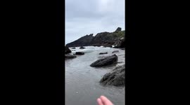 Tides Trap Women on Rock