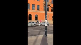 Horse Helps Deliver Food To Hungry Humans