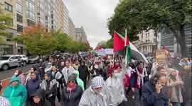 Demonstrators hold up placards as they take part in a rally in solidarity with Palestine near the White House during a Day of Action for Palestinian event in Washington, DC. Pro-Palestinian protesters gathered across the country as Israel prepares for an