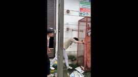 Cage Climb Rescue Of Cat