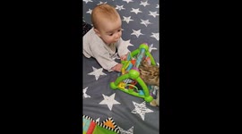 Two New Creatures Play Together