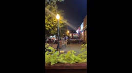 Horse Walks Into Dallas Bar