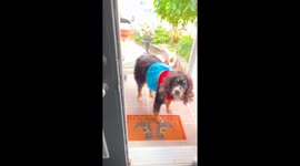 Berner Shows Off Collection Of Halloween Costumes