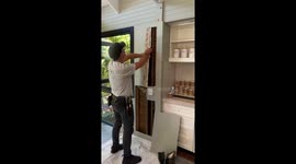 Intricate operation as colony of 30,000 bees removed from inside wall