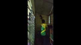 Huge monitor lizard caught on family's kitchen wall