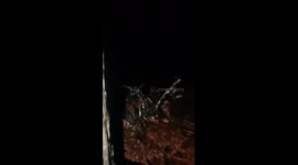 Lost mushroom pickers rescued with 'Katyusha' song in Moscow forest