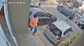 Stray dog and woman amusingly bumps into each other twice in carpark