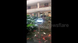 Car ends up in hotel's pond after smashing through glass doors in China