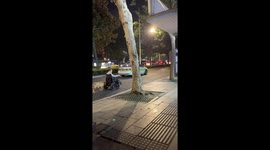 Loyal pet dog follows his master in wheelchair on road in China