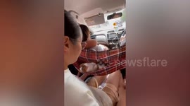 Traveling in comfort! Cat has her own hammock for car journeys