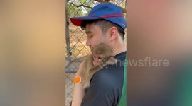 Rescuer gives monkey one last hug before releasing him into forest