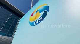 Green, digital transition to unleash huge potential for future BRI cooperation: BRF delegates